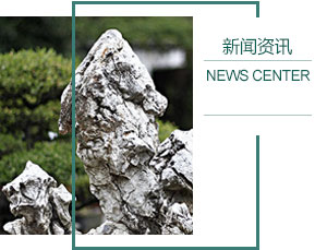 trust钱包最新版